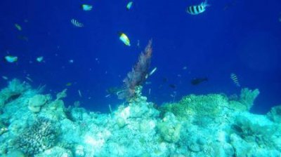 ​沈阳公交188路全程线路图、首末班车时刻查询