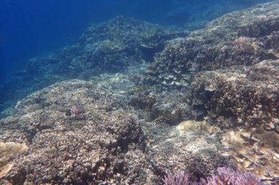 ​尼尔基旅游尼尔基水库旅游