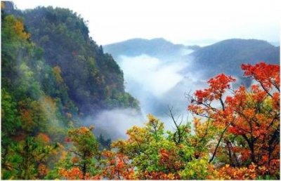 ​沈阳127路公交线路线图：经过哪些站牌？