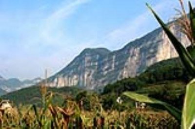 ​丁香花园，购买来适合自住吗？