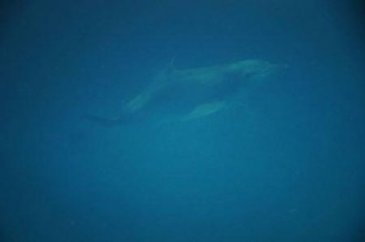 ​4月末巴黎旅游攻略，4月末巴黎旅游攻略图