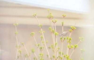 ​乐健体育新版乐健体育252