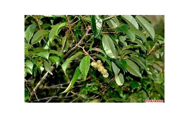 有了孩子后,和老公的感情渐渐变淡了 有了孩子后,和老公的感情渐渐变淡了