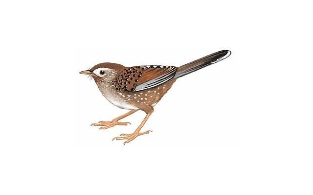 老公出轨了儿媳妇怎么处理好?周全做法 老公出轨了儿媳妇怎么处理好?周全做法