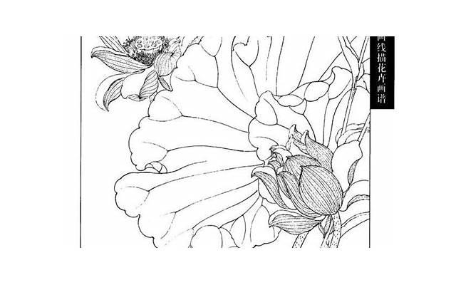 男人打飞机的八大好处 男人打飞机的八大好处