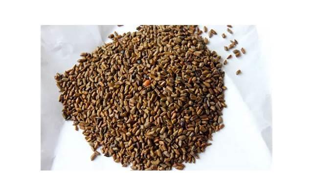 男人撩妹相亲多久接吻拥抱比较合适 男人撩妹相亲多久接吻拥抱比较合适