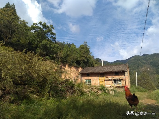 11张深山窑洞照片,让你看看留守老人们的真实生活