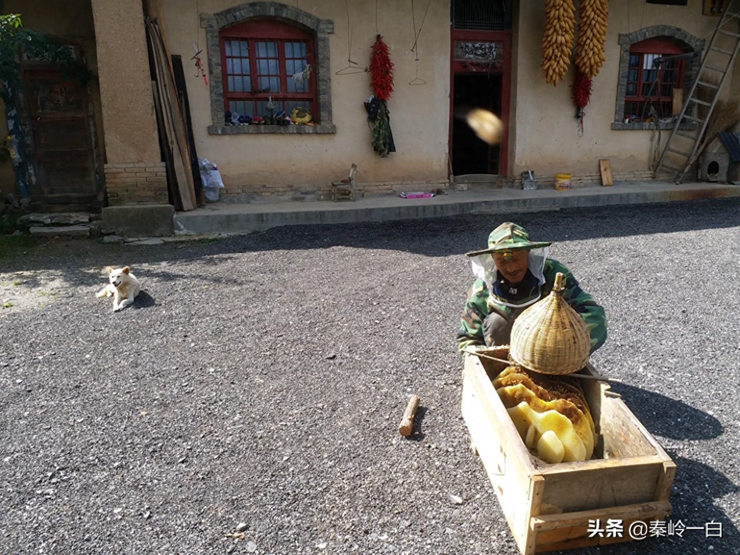 11张深山窑洞照片,让你看看留守老人们的真实生活