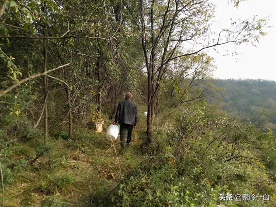 11张深山窑洞照片,让你看看留守老人们的真实生活