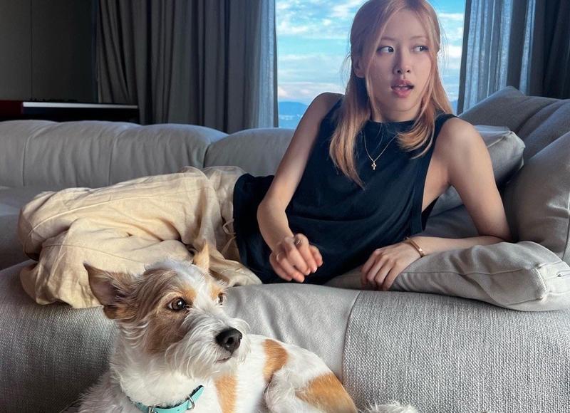 小乔的老公是谁(大乔和小乔的婚姻史) 小乔的老公是谁(大乔和小乔的婚姻史)