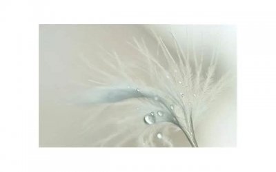 ​女人变心前的征兆是什么？