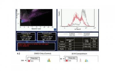 ​老公出轨后我不想离婚，怎么办