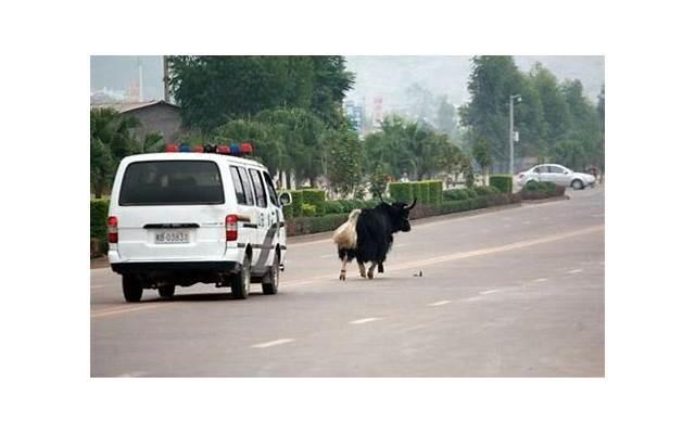 给老公道歉认错挽回信,给老公写一封道歉信,用于认错和挽回关系! 给老公道歉认错挽回信,给老公写一封道歉信,用于认错和挽回关系!