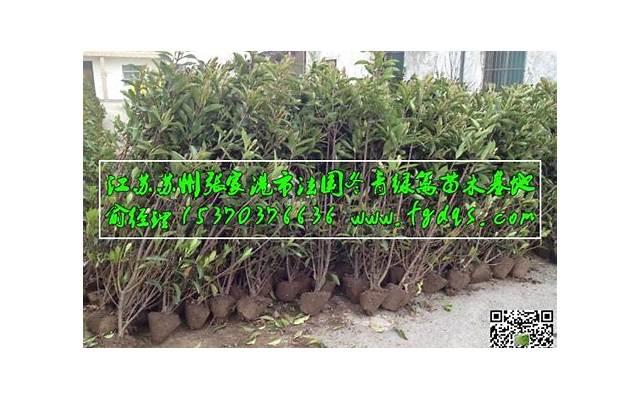 犯了大错怎么挽回老公?5个步骤帮你重修旧好 犯了大错怎么挽回老公?5个步骤帮你重修旧好