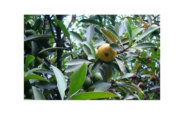 这个男人这样对你,还是分手吧 这个男人这样对你,还是分手吧