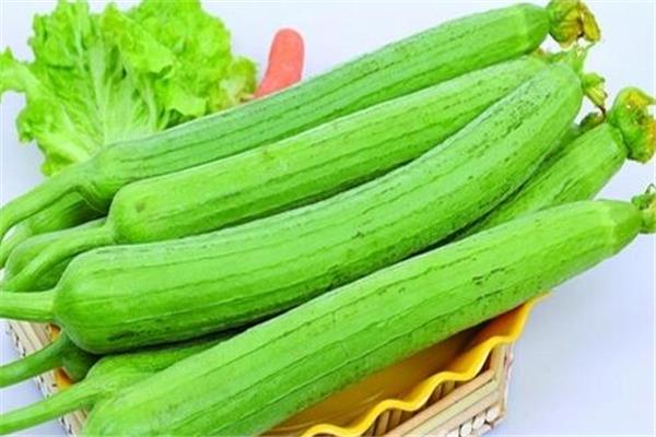 苦丝瓜怎么分辨 苦丝瓜怎么去苦 苦丝瓜怎么分辨 苦丝瓜怎么去苦