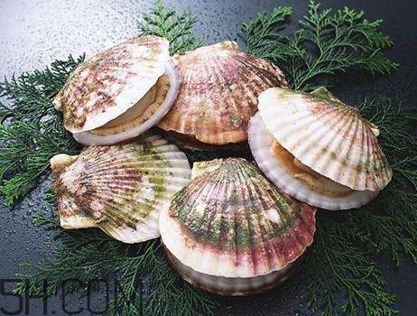 扇贝是凉性还是热性 扇贝是发物吗