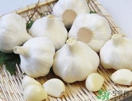 新蒜头什么时候上市?新蒜头几月份上市 新蒜头什么时候上市?新蒜头几月份上市