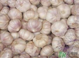 新蒜头什么时候上市?新蒜头几月份上市 新蒜头什么时候上市?新蒜头几月份上市