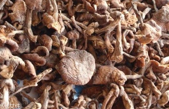榛蘑和木耳的区别 榛蘑和木耳能一起吃吗? 榛蘑和木耳的区别 榛蘑和木耳能一起吃吗?