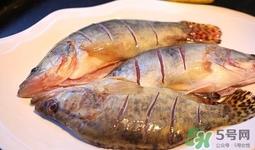 鳜鱼是海鱼吗?鳜鱼是淡水鱼还是海鱼 鳜鱼是海鱼吗?鳜鱼是淡水鱼还是海鱼