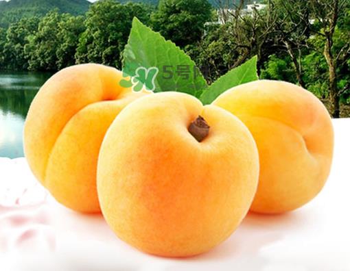 锦绣黄桃多少钱一斤?锦绣黄桃好吃吗? 锦绣黄桃多少钱一斤?锦绣黄桃好吃吗?