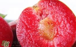 三华李什么时候上市?三华李什么时候成熟 三华李什么时候上市?三华李什么时候成熟