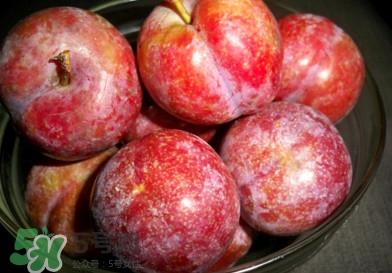 三华李什么时候上市?三华李什么时候成熟 三华李什么时候上市?三华李什么时候成熟