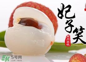 荔枝为什么叫妃子笑？荔枝和妃子笑的区别