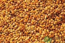 腰果可以补肾吗?腰果补肾效果好吗