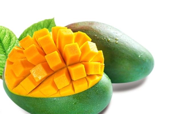 凯特芒果好吃吗 吃得很过瘾 凯特芒果好吃吗 吃得很过瘾