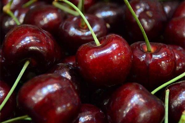 车厘子可以补血么 车厘子和营养价值和食用功效