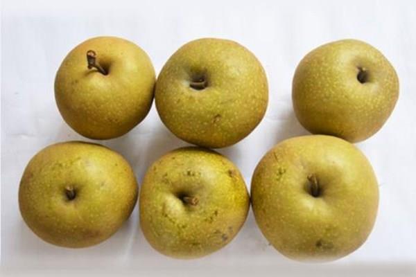 早上能空腹吃梨吗 哪些人不适合空腹吃梨 早上能空腹吃梨吗 哪些人不适合空腹吃梨