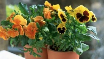 ​大理石橱柜门安装大理石厨柜安装步骤