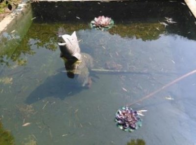 ​去海边旅游必备物品男海边旅游必带物品