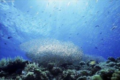 ​世界十大海岛旅游排行榜  世界最好的海岛排行榜