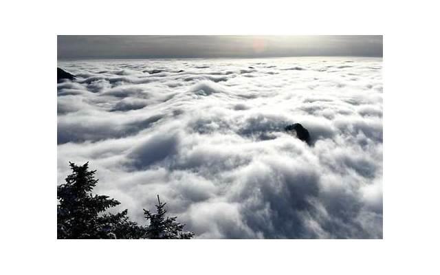 老公特别爱我,为什么会出轨? 老公特别爱我,为什么会出轨?