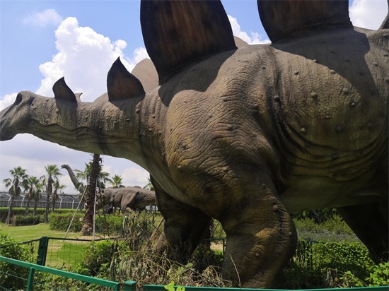 梦里水乡 ------百花园