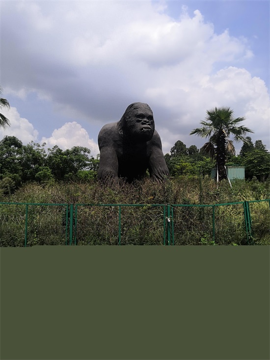 梦里水乡 ------百花园