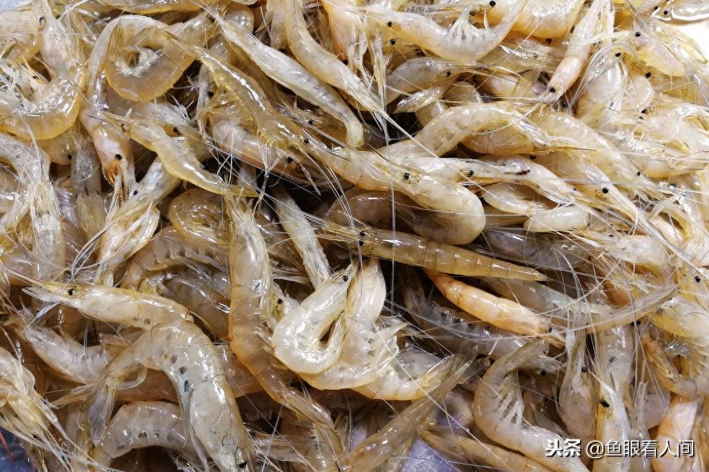 鲅鱼15元一斤 小黄花鱼10元一斤 安康鱼7元一斤 平民海鲜价廉物美