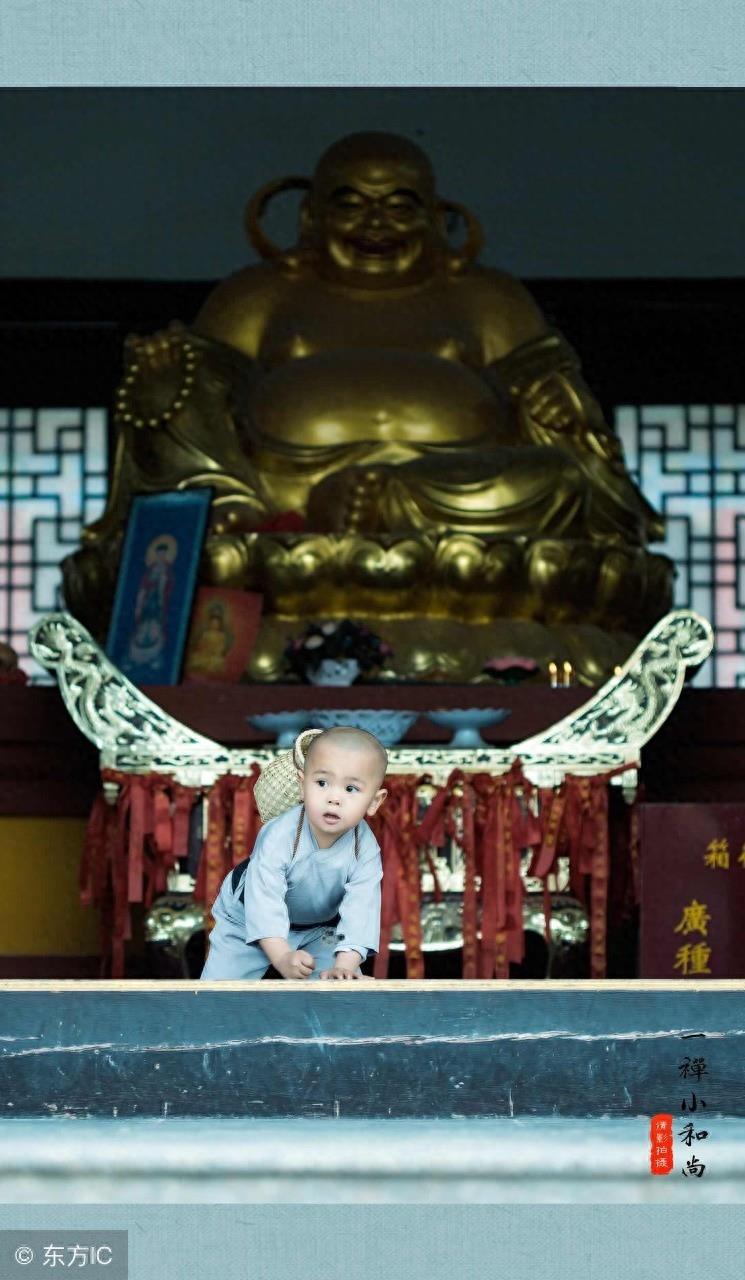 佛系漫画《一禅小和尚》——愿你遇见一禅，眼中即有柔光