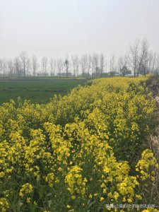 ​人口过千万，经济总量不及沿海发达县级市，真实的阜阳是怎样的