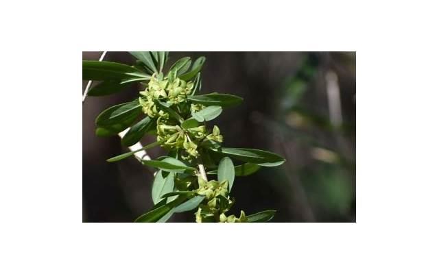 唯美说说2025 唯美说说2025