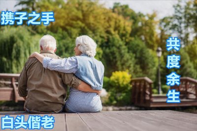 ​丁克族的真实现状