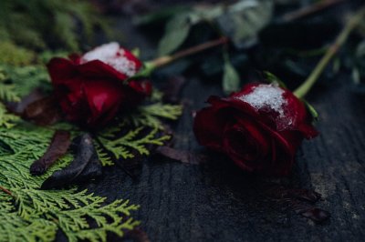 ​最好的情人，是这样子的