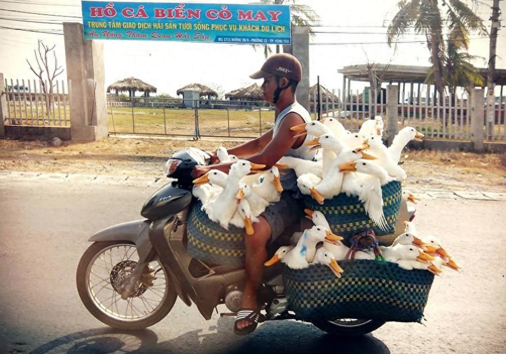 这12张现实的生活照片,每张看了都让人心酸!