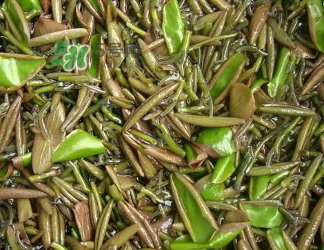 莼菜是发物吗?莼菜凉拌要过开水吗 莼菜是发物吗?莼菜凉拌要过开水吗