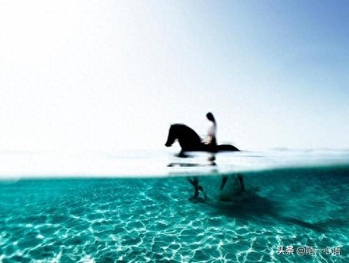 能够治愈心灵的图片“给心灵一点阳光:心若向阳、无谓悲伤”