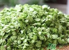 榆钱可以和什么一起吃?榆钱不能和什么一起吃? 榆钱可以和什么一起吃?榆钱不能和什么一起吃?