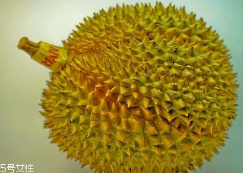 托曼尼多少钱一个 托曼尼榴莲什么时候成熟 托曼尼多少钱一个 托曼尼榴莲什么时候成熟